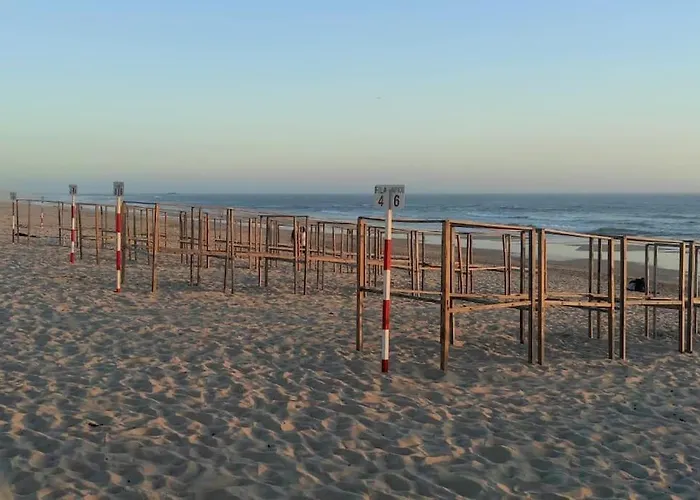 Areia Stayinn 아파트 Árvore