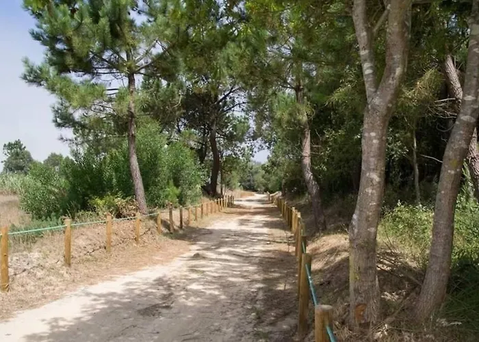 Areia Stayinn * Árvore